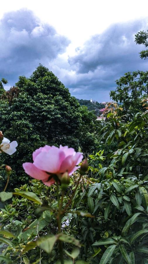 J Hostel Kandy Luaran gambar